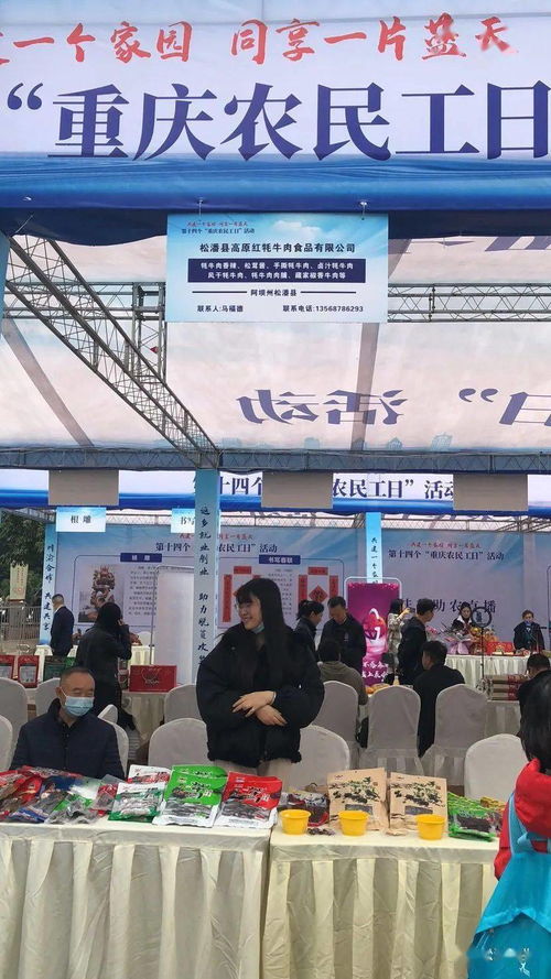 四川省参加 重庆市农民工日 活动返乡创业产品展
